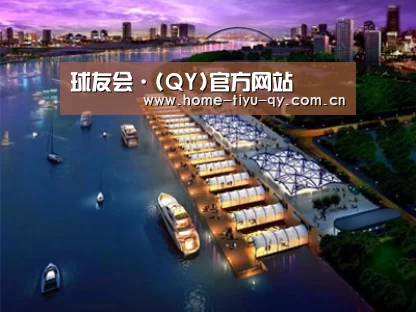 案例展示八